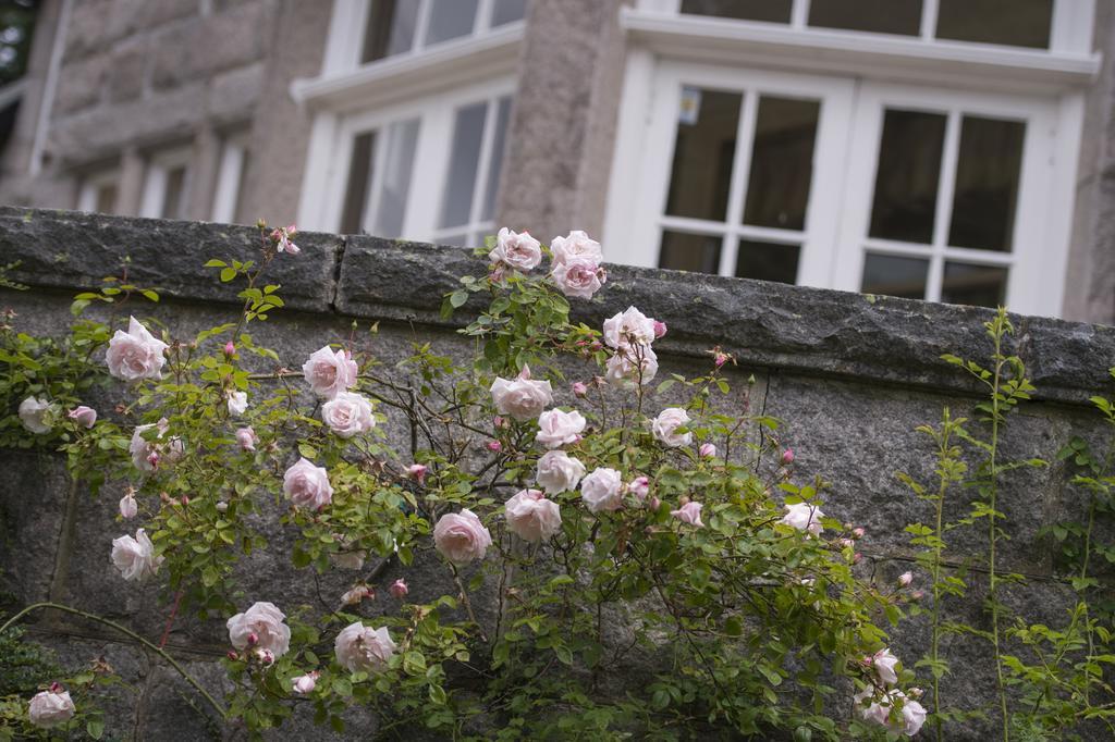 Lys-Na-Greyne Bed & Breakfast อะบอยน์ ภายนอก รูปภาพ